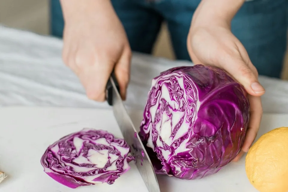 The Gut-Brain Connection in Trauma Recovery: Understanding Your Body’s Second Brain